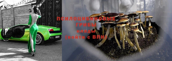 мескалин Медвежьегорск