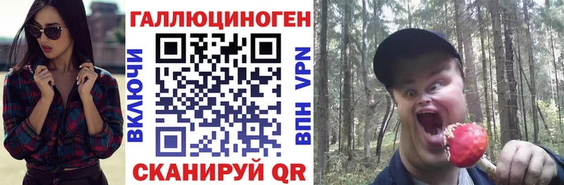 KRAKEN зеркало Аргун Галлюциногенные грибы Psilocybine cubensis