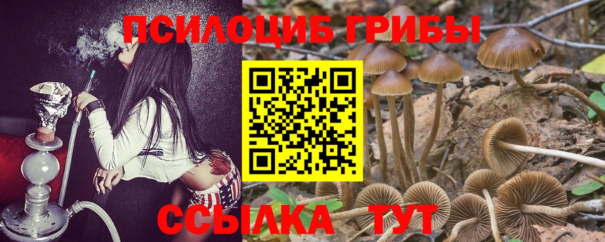 наркошоп  Вход с VPN  Аргун  Псилоцибиновые грибы Magic Shrooms 