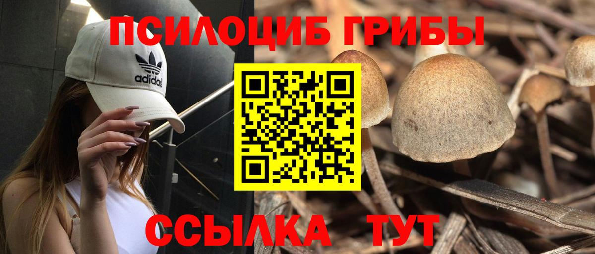 Псилоцибиновые грибы Magic Shrooms Аргун